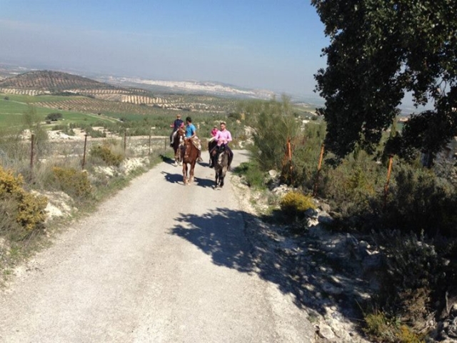  Direction Ronda 